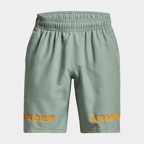 Under Armour Short Woven Graphic