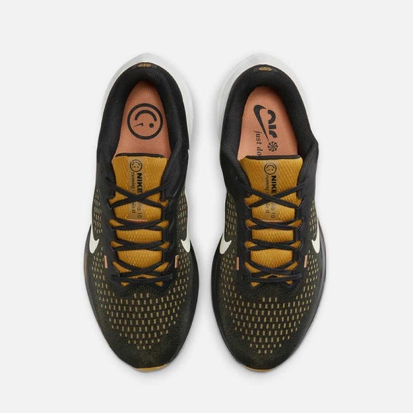 Nike Chaussures Air Winflo 10
